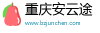 重庆安云途